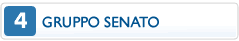 gruppo senato